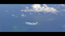 Thumbnail for Chinese Navy Meow's at U.S. military aircraft in South China Sea | Stormzilla