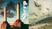 Thumbnail for The Sheeple Song - early version of Pink Floyd's Sheep