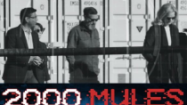 Thumbnail for 2000 Mules