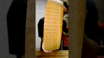 Thumbnail for Parmigiano Reggiano vs. Parmesan vs. Pecorino Romano | TriggTube