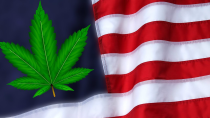 Thumbnail for Is Nationwide Marijuana Legalization Just Around the Corner?