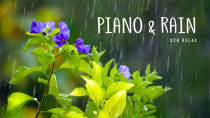 Thumbnail for Rain Sounds & Relaxing Music 24/7 - Piano Music, Sleep, Study, Yoga, Stress Relief, Meditation | OCB Relax Music