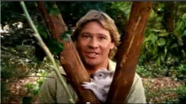 Thumbnail for Steve Irwin Customs 'Quarantine' TV ad (2002 Australia) | CheesyTV