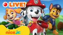 Thumbnail for 🔴 LIVE: BEST PAW Patrol Rubble Moments from Seasons 1, 2, & 3!! | Rubble & Crew | Rubble & Crew