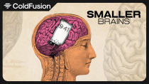 Thumbnail for How Smartphones Shrink Our Brains | ColdFusion