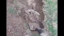 Thumbnail for Guy starts digging in his garden and finds a secret concrete box. You'll never believe what he found