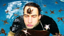 Thumbnail for frogs keep drowning themselves in my pool | I did a thing