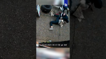 Thumbnail for Shocking video of Senator Rand Paul staffer stabbed in DC | WUSA9