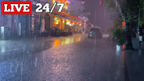 Thumbnail for Night Storm Rain at Bustling Restaurant - Heavy Rain & Strong Winds with Thunder Sounds for Sleeping | LUCASTA