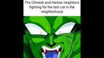 Thumbnail for The Chinese and Haitian neighbors fighting for the last cat in the neighborhood | FunnyMemeSpot