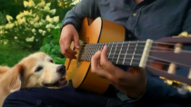 Thumbnail for A pup friend and a mellow tune