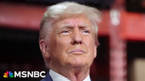 Thumbnail for Weissmann on 14th Amendment: ‘Trump only has to win on one issue to keep him on the ballot’ | MSNBC