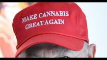 Thumbnail for Donald Trump Has the Power to Release Nonviolent Marijuana Offenders from Prison. Will He Act?