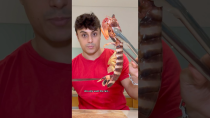 Thumbnail for Cooking MASSIVE Mantis Shrimp | Nick Kratka