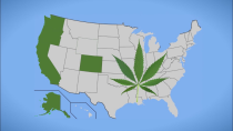 Thumbnail for What Will Recreational Marijuana Legalization Mean for California? Q&A with Lynne Lyman