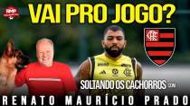 Thumbnail for NO DESESPERO, FLAMENGO REINTEGRA GABRIEL. VAI JOGAR? | Canal RMP