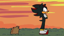 Thumbnail for Shadow Meets a Hedgehog | SilverSibs