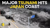 Thumbnail for Japan Earthquake Tsunami News LIVE: Massive earthquake strikes Japan, triggering tsunami | WION LIVE