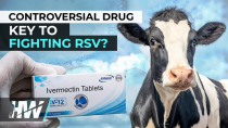 Thumbnail for Ivermectin to fight RSV? - The Highwire