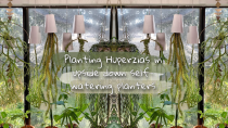 Thumbnail for Planting in upside down self-watering planters | Cyril Cybernated