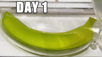 Thumbnail for Banana After 180 Days In Epoxy Resin | What Happened? | Waterjet Channel