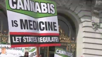 Thumbnail for What We Saw at the San Francisco Marijuana Rally