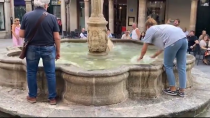 Thumbnail for Dog plays in fountain