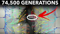 Thumbnail for The Longest-Running Evolution Experiment | Veritasium