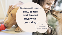 Thumbnail for How to use enrichment toys with your dog | tails.com UK