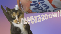 Thumbnail for My Old Cat DEMANDS Reddi-Wip | Mark Burnett