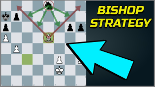 Thumbnail for 11 Ways To Use Your Bishops Effectively | Chess Vibes