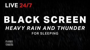 Thumbnail for 🔴 Heavy Rain and Thunder Sounds for Sleeping - Black Screen | Thunderstorm Sleep Sounds, Live Stream | Pure Sleeping Vibes