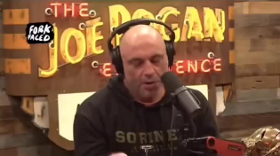 Thumbnail for Joe Rogan finally snaps