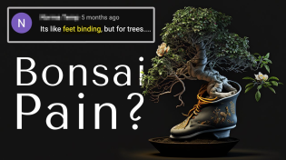 Thumbnail for Is Bonsai Torture? - Biology of Pain