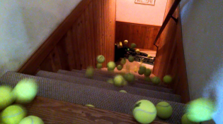 Thumbnail for 100 Tennis Balls - (A Border Collie in Heaven) | Michael Frank