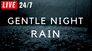 Thumbnail for 🔴 Gentle Night Rain - BLACK SCREEN to Sleep FAST, Rain Sounds for Sleeping & Beat Insomnia | The Relaxed Guy