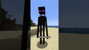 Thumbnail for How to stop endermen | CheezyChez