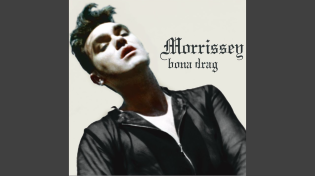 Thumbnail for Piccadilly Palare (2010 Remaster) | Morrissey - Topic