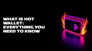 Thumbnail for What Is Hot Wallet: Everything You Need to Know | CEX.IO