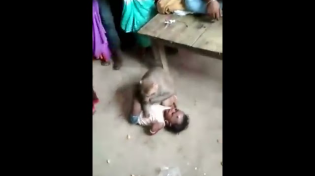 Thumbnail for Monkey 'kidnaps' a baby but then humans show who is superior | DeshGujaratHD