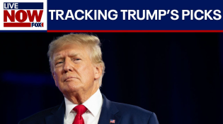 Thumbnail for LIVE:  Tracking Trump's cabinet picks, Biden in Peru,  Middle East latest & more | LiveNOW from FOX