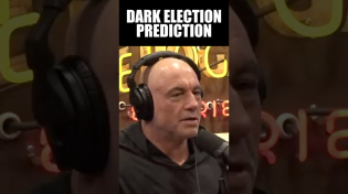 Thumbnail for Bret Weinstein Makes Joe Rogan Go Quiet with Dark Election Prediction | The Rubin Report