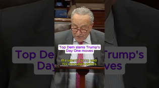 Thumbnail for Top Dem slams Trump's Day One moves | MSNBC