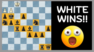 Thumbnail for 3 Ridiculous Chess Puzzles Sent By My Viewers | Chess Vibes