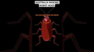 Thumbnail for Australia Making Robots Bugs | Omar Agamy