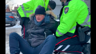 Thumbnail for Violent Activist Arrested in Ottawa | Peter van Oordt