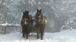 Thumbnail for Celtic Christmas Music, The Most Popular Christmas Carols, , "Christmas Sleigh Ride" By Tim Janis | Tim Janis