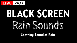 Thumbnail for Rain Sounds for Sleep. Say Goodbye to Insomnia with Black Screen Rain Sounds | Sounds of Peaceful