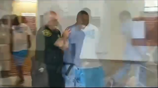 Thumbnail for Niggers Dance Around Yelling Pejoratives at Judge after Stealing Cars