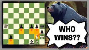 Thumbnail for The Bear's 3 Chess Puzzles - Episode 8 | Chess Vibes